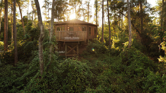 Disney's Saratoga Springs Resort & Spa